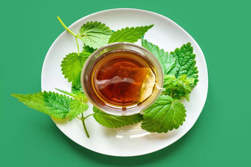 Nettle Tea Health Benefits, According to Experts - REAL SIMPLE
